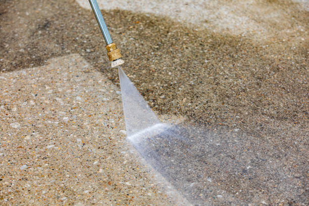 Best Roof Cleaning and Mildew Removal in Darlington, WI